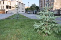 Ayşehan Camisi'nde Çevre Düzenlemesi