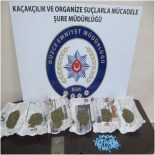 Çatı Katına Saklanan Uyuşturucu Maddeler Ele Geçirildi