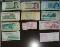 İRAN RİYALİ - Diyarbakır'da İran Uyruklu Hırsız Yakalandı