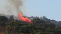 Kocaeli'deki Orman Yangını Söndürüldü