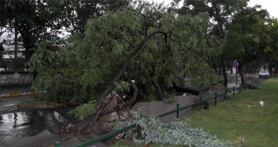 Manisa'yı Fırtına Yıktı Geçti!
