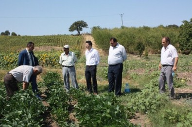 Soya Üretimini Arttırmak İçin Harekete Geçtiler