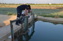 Sulama Kanalında Çocuk Cesedi Bulundu
