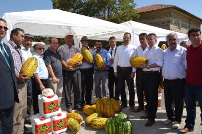 Tarım Kültür Ve Hayvancılık Festivali İptal Edildi