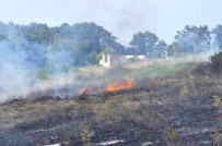 Yalova'da Orman Yangını