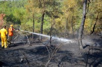 EDIP ÇAKıCı - Bilecik'te Orman Yangını