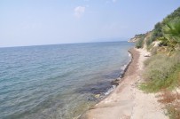 DENİZ KİRLİLİĞİ - Kuşadası'nda İki Plajdan Denize Girişin Yasaklanması