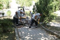 MEHMET ALI ÇAKıR - Odunpazarı'nda Parklar Yenileniyor