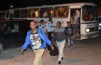 CUNDA ADASı - Ayvalık'ta 257 kaçak göçmen yakalandı