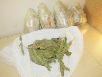 Diyarbakır'da 55 Kilogram Esrar Ele Geçirildi