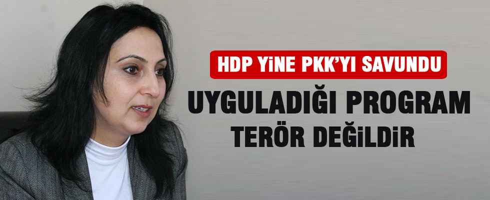 Figen Yüksekdağ PKK'nın saldırılarını savundu