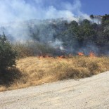 NOHUTLU - Yozgat'ta Çalılık Yangını