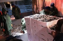 KUMBAĞ - 1 Eylül De Balıkçıların Yüzü Güldü