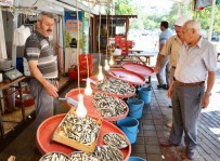 BALIK BEREKETİ - 10 Yıl Aradan Sonra Denizlerden Sevindiren Haber