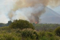 AŞKALE ÇIMENTO - Aşkale'de Korkutan Ot Yangını