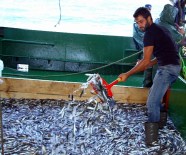 BALIK AVI - Balıkçılar İlk Gün Umduklarını Bulamadı