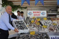 BALIK TEZGAHLARI - Hamsinin Bolluğu Yüzleri Güldürdü