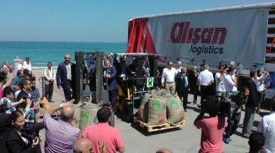 İlk Fındık İhracatı Akçakoca'dan