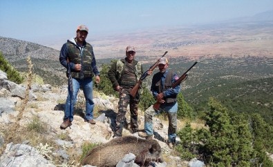 Karaman'da Yaban Domuzlarına Sürek Avı