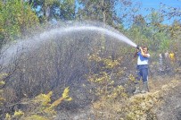 ANIZ YANGINI - Orman Yangını Kontrol Altına Alındı