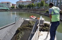 SERDAR KAYA - Porsuk'ta Yosun Temizliği