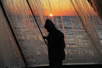 Samsun'da Balıkçılar 'Vira Bismillah' Dedi