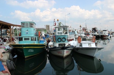Yalovalı Balıkçılar Karadeniz'in Yolunu Tuttu