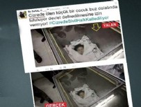 MANIPÜLASYON - PKK'lılar Cizre diye Gazze'de öldürülen çocuğu kullandı