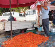 KUŞBURNU - Taşova'da, Kuşburnu Pazara İndi