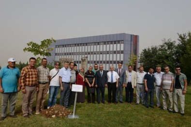 Şair Bahattin Karakoç Adına Ihlamur Bahçesi Oluşturuldu