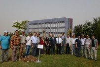 BAHATTIN KARAKOÇ - Şair Bahattin Karakoç Adına Ihlamur Bahçesi Oluşturuldu