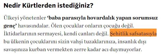 Şirin Payzın'dan şehitlere hakaret!
