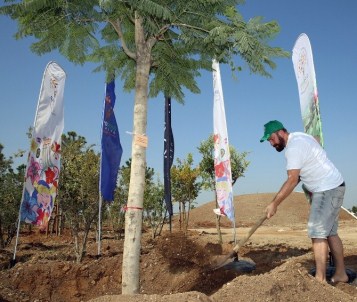 Alman Dj, EXPO 2016 Antalya Alanına 'Jacaranda' Dikti