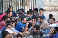 İNSAN KAÇAKÇISI - Çanakkale'de 330 Kaçak Ve 14 Organizatör Yakalandı