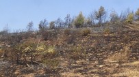 KISECIK - Hatay'da Orman Yangını Söndürüldü