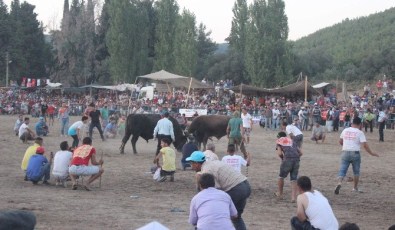 İspanyayı Aratmayacak Görüntüler
