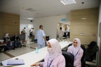 GÜNEŞ ÇARPMASI - Kutsal Topraklarda Bu Yıl Mers'e Rastlanmadı