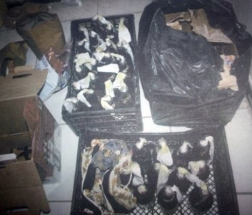 Muş'ta PKK Operasyonu