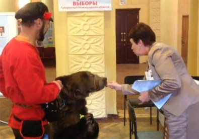 Oyunu Ayısıyla Kullandı !