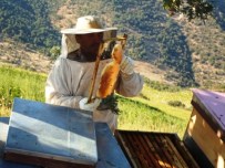 ORGANİK BAL - Sigaraya Vereceği Parayı Biriktirdi 30 Kovan Sahibi Oldu