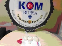 UYUŞTURUCU OPERASYONU - Terminalde Uyuşturucu Operasyonu