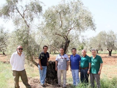 Vali Türker'den Zeytinpark Projesi'ne Destek