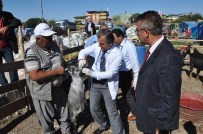 KARACAOĞLAN - Yüreğir'de Kurban Kesim Ve Satış Noktaları Belirlendi