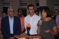 YEŞİLLER VE SOL GELECEK PARTİSİ - AP Yeşiller Grubu Eş Başkanı Harms Mardin'de