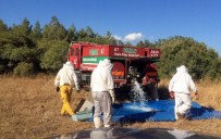 Arılara Ormandan Can Suyu