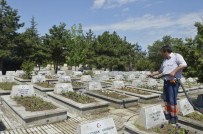 SİGARA İZMARİTİ - Büyükşehir, Kurban Bayramı'na Hazır