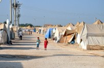 YUMURTALIK KANSERİ - Çadır Kentte Anne Sütünün Önemini Anlattılar