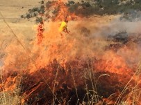 HASAN DAĞı - Hasan Dağındaki Ormanlık Alanda Yangın Çıktı