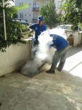 HAMAM BÖCEĞİ - -Korkuteli'de Sivrisinekle Mücadele