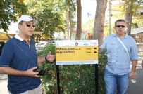 TÜRKIYE OTELCILER FEDERASYONU - Sırt Çantalı Turistler Ekonomiye Kazandırılacak